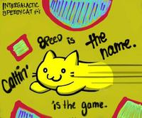 Speedycat - Speed is the name